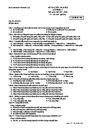 Đề kiểm tra 15 phút học kì II môn Sinh học Lớp 11 lần 1 (Nâng cao) - Mã đề 486